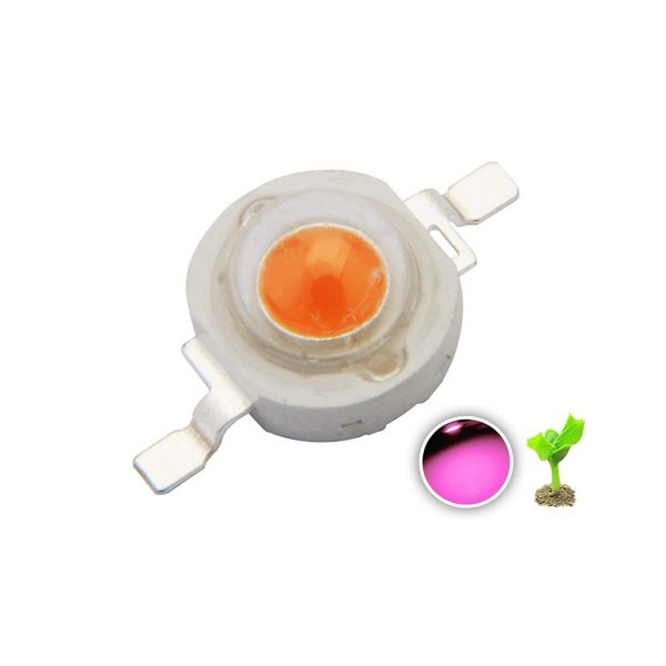 ا وات رشد گیاه